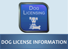 Dog Licensing Icon